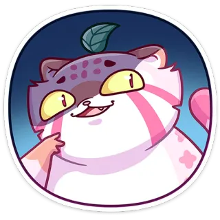 😊 kot, zwierzę, naklejka, kreskówka, słodki, różowy, zwierzak whatsapp sticker