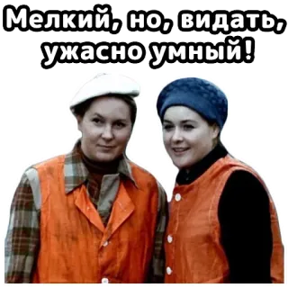 👍 Мелкий, но, видать, ужасно умный! women, russian, translation needed, portrait telegram sticker