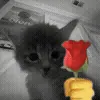 🌹