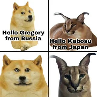 🐱 Hello Gregory from Russia
Hello Kabosu from Japan Doge, Karakal, Meme, Russland, Japan, Tiere telegram sticker