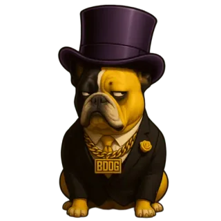 😒 BDOG Hund, Bulldogge, Anzug, Zylinder, Tier, Goldkette, BDOG telegram sticker