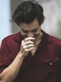 💵 Harry Styles chanteur, célébrité, portrait, homme, pop star telegram sticker