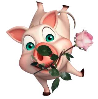 🐷 หมู, กุหลาบ, ดอกไม้, สัตว์, น่ารัก, การ์ตูน, สีชมพู telegram sticker