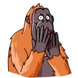 😱 orangutan, kera, terkejut, kartun, hewan whatsapp sticker