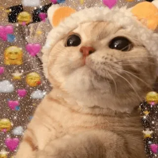 🌿 kat, kitten, schattig, hart, dier, huisdier, liefde telegram sticker
