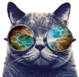 🐱 cat, sunglasses, galaxy, nebula, animal, sticker telegram sticker
