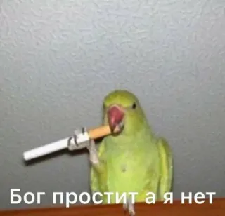 💬 Бог простит а я нет попугай, сигарета, птица, курение, смешно, мем telegram sticker