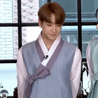 🍇 person, hanbok, koreanisch, tracht, asiatisch whatsapp sticker