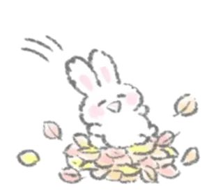 🥣 lapin, lapin, animal, mignon, feuilles, automne, automne telegram sticker