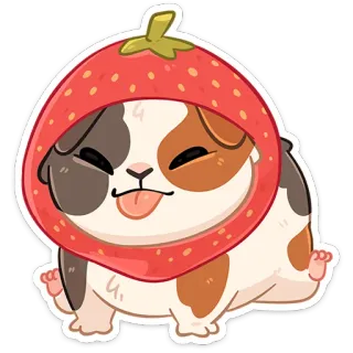 🍓 cobaya, fresa, lindo, animal, mascota, dibujos animados telegram sticker