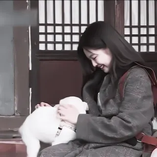 🥟 dog, woman, pet, friendship, happy telegram sticker