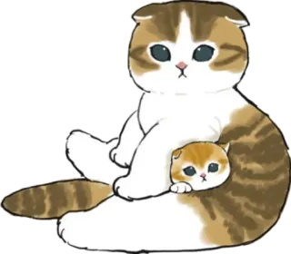 🙂 gato, gatinho, fofo, adorável, animais, animal de estimação telegram sticker