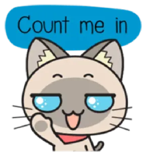😳 Count me in gato, animal, conta comigo, desenho animado, fofo, amigável whatsapp sticker