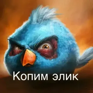 🌟 Копим элик vogel, wütend, russisch, sammeln, elite whatsapp sticker