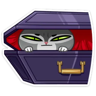 👀 Katze, Sarg, Aufkleber, Meme, Humor, Haustier, Tier telegram sticker