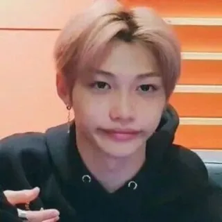 😐 Felix kpop, 歌手, ミーム, ポートレート, stray kids telegram sticker
