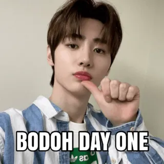 🤨 BODOH DAY ONE K-Pop, meme, funny, filipino, bodoh, expression telegram sticker