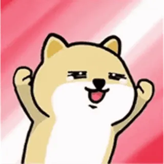 💬 perro, feliz, lindo, emocionado, meme, shiba inu telegram sticker