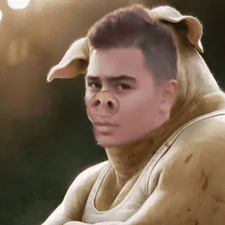 🌟 Schwein, Mann, Tier, Gesicht, Hybrid, Lustig telegram sticker