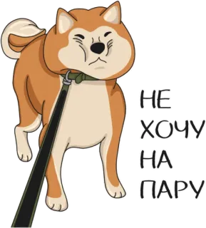 😣 НЕ ХОЧУ НА ПАРУ 개, 시바견, 동물, 애완동물, 산책, 게으른 telegram sticker