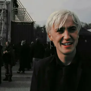 🐍 Draco Malfoy Harry Potter actor, mago, película, Tom Felton, Harry Potter telegram sticker