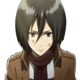 😐 Mikasa Ackerman Attack on Titan Anime, Militair, Personage, Mikasa, Attack on Titan, AoT telegram sticker