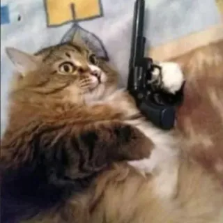 🔫 猫, 銃, 武器, 暴力, 動物, 銃器 telegram sticker