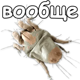 🙈 вообще mite, dust mite, allergy, microscopic, bug, arachnid, disease telegram sticker