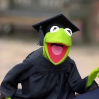 🎓 Kermit the Frog muppet, rana, laurea, laureato, kermit telegram sticker