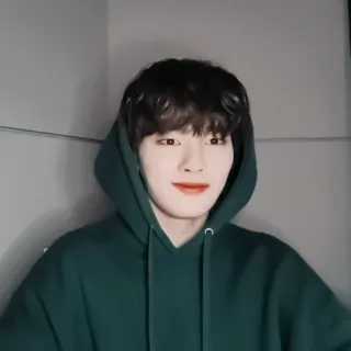 🦊 personne, sweat à capuche, portrait, coréen, homme, masculin, intérieur whatsapp sticker