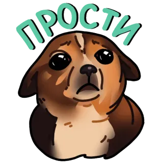 😳 прости cane, scusa, scuse, carino, cucciolo, perdonare telegram sticker