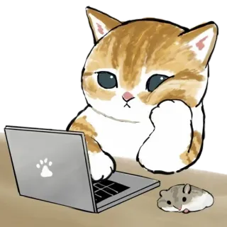 🤨 gatto, laptop, computer, criceto, carino, animale telegram sticker
