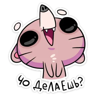 ❓ ЧО ДЕЛАЕШЬ? cat, cute, sticker, animal, funny whatsapp sticker