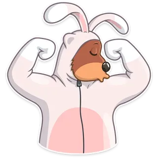 💪 animal, oso, conejo, disfraz, divertido, dibujos animados whatsapp sticker