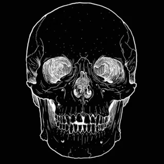 💀 череп, кости, смерть, анатомия, скелет telegram sticker