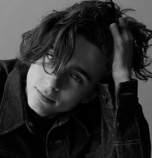 🦇 Timothée Chalamet actor, celebridad, retrato, hombre telegram sticker