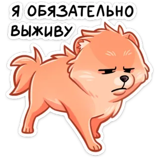 😫 Я ОБЯЗАТЕЛЬНО ВЫЖИВУ 개, 생존, 밈, 귀여운, 동물, 애완 동물, 러시아 telegram sticker