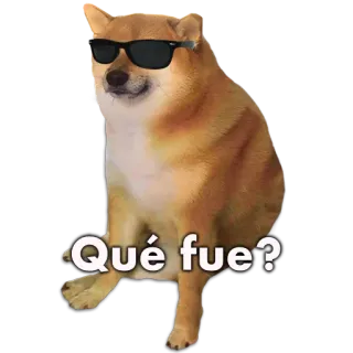 🐶 Qué fue? โดจ, หมา, มีม, แว่นกันแดด, อะไรวะ, ชิลล์ whatsapp sticker