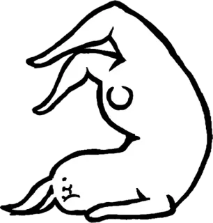 🐰 conejo, animal, postura de yoga, boca abajo, invertido telegram sticker