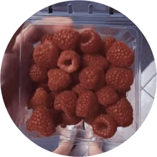 🍓 framboises, fruit, baies, nourriture, sain, collation telegram sticker