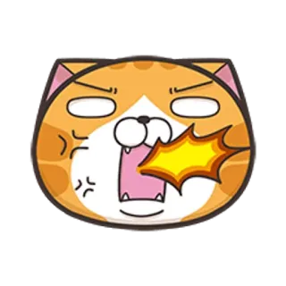 🐵 고양이, 화난, 이모지, 표정, 만화, 짜증, 애완 동물, 동물 telegram sticker