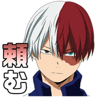 🙏 Shoto Todoroki My Hero Academia 頼む Shoto Todoroki, My Hero Academia, anime, manga, personaggio telegram sticker