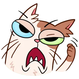 😤 chat, dessin animé, animal, drôle, autocollant, en colère, mème whatsapp sticker