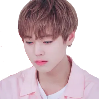 😭 whatsapp sticker