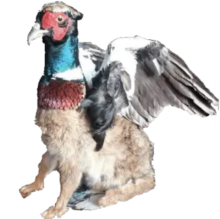 🐰 animal hybride, oiseau, lapin, chèvre, fantaisie, créature, chimère whatsapp sticker