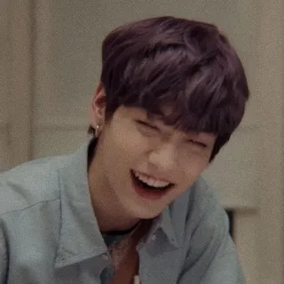 🎐 sorriso, feliz, rindo, pessoa, cabelo roxo, coreano whatsapp sticker