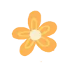 🌼