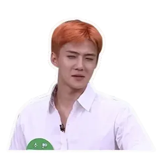 😏 Oh Se-hun kpop, exo, sehun, singer, person whatsapp sticker