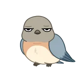 🤦‍♂️ 새, 파랑새, 만화, 귀여운, 동물, 스티커 telegram sticker