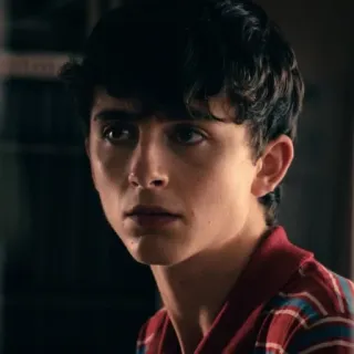 😐 Timothée Chalamet актер, портрет, знаменитость, мужчина whatsapp sticker